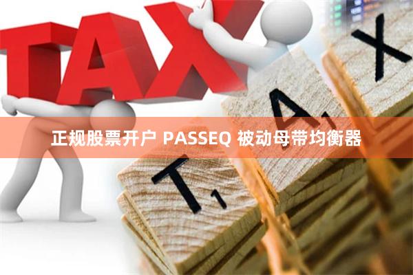 正规股票开户 PASSEQ 被动母带均衡器