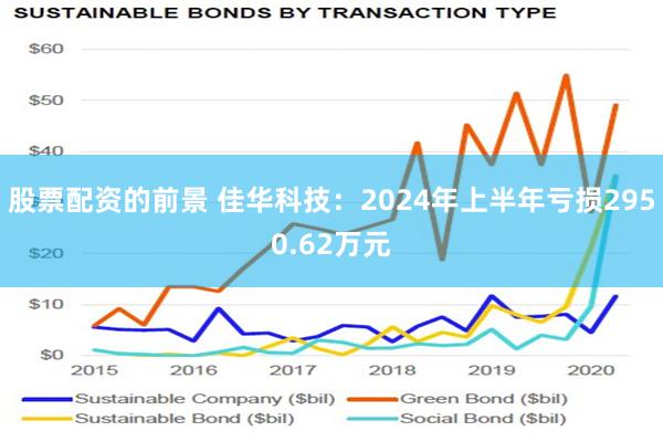 股票配资的前景 佳华科技：2024年上半年亏损2950.62万元