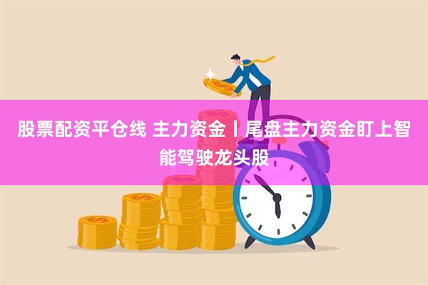 股票配资平仓线 主力资金丨尾盘主力资金盯上智能驾驶龙头股