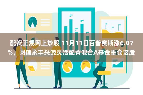 配资正规网上炒股 11月11日百普赛斯涨6.07%，圆信永丰兴源灵活配置混合A基金重仓该股