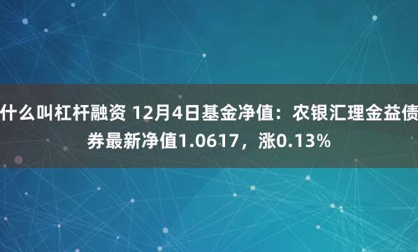 什么叫杠杆融资 12月4日基金净值：农银汇理金益债券最新净值1.0617，涨0.13%