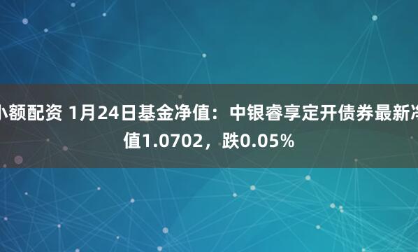 小额配资 1月24日基金净值：中银睿享定开债券最新净值1.0702，跌0.05%