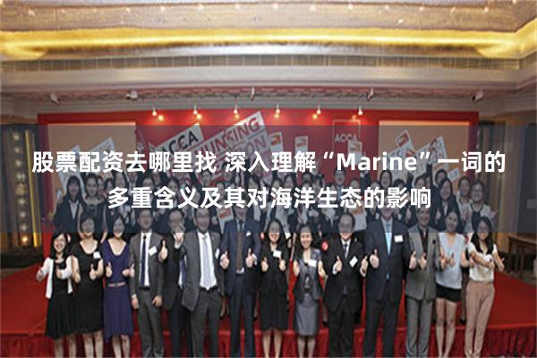 股票配资去哪里找 深入理解“Marine”一词的多重含义及其对海洋生态的影响